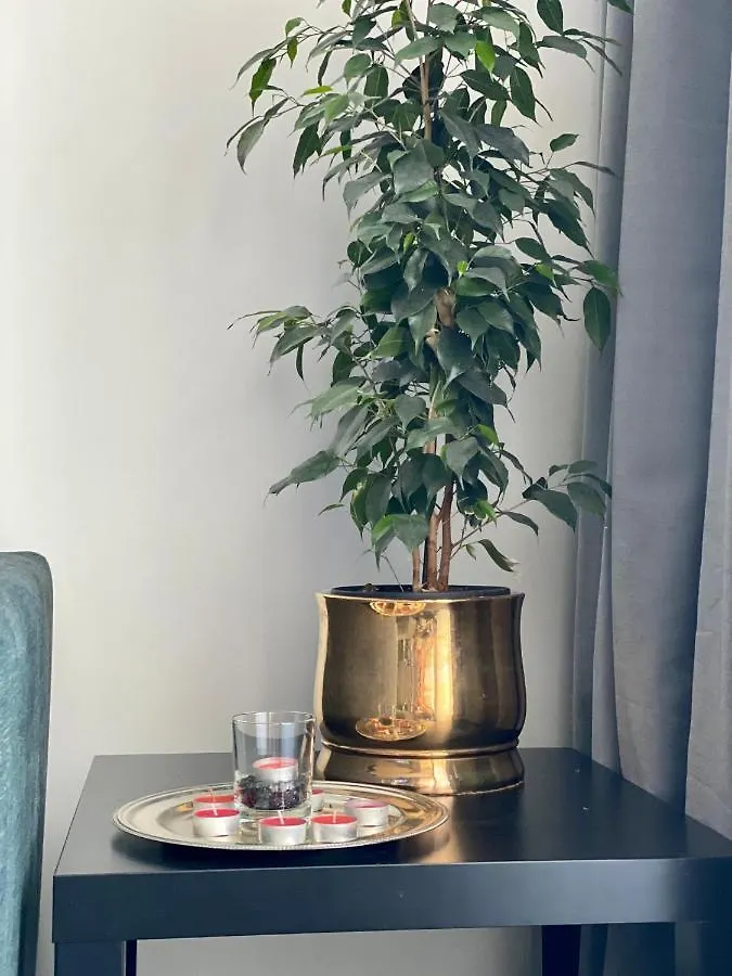 Apartament Z Widokiem Na Kazimierz/Forum Przestrzenie Apartment Krakow Poland